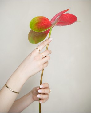 Bransoletka owalna z łańcuszkiem